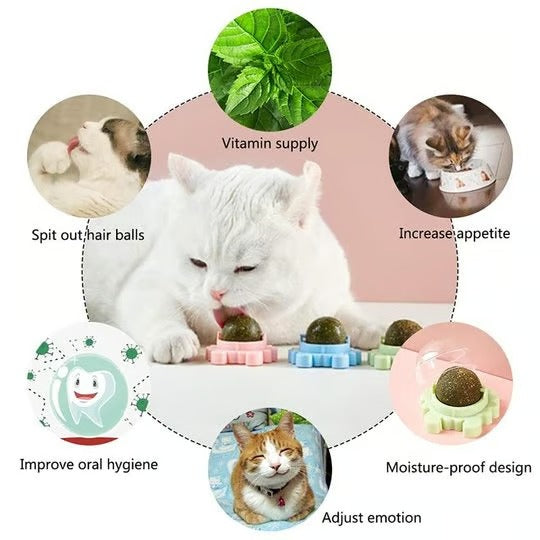 Rotating Catnip Licking Ball - Cat Toy