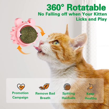 Rotating Catnip Licking Ball - Cat Toy