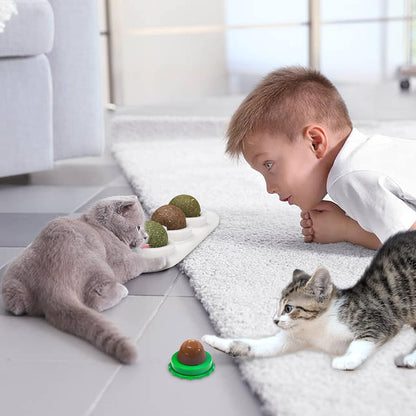Rotating Catnip Licking Ball - Cat Toy