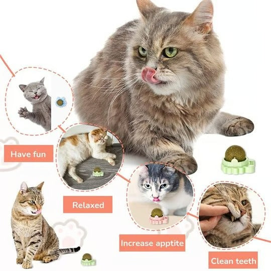 Rotating Catnip Licking Ball - Cat Toy